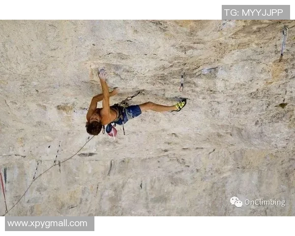 从零开始的攀岩比赛全攻略助你轻松应对挑战与提升技巧